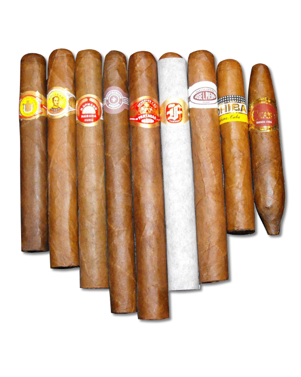 Taste of original cigars Bundle Selection Petit Corona Long Filler