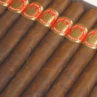 Saint Luis Rey Coronas box of 25 BM OISA 1996 Saint Luis Rey Coronas box of 25 BM OISA 1996