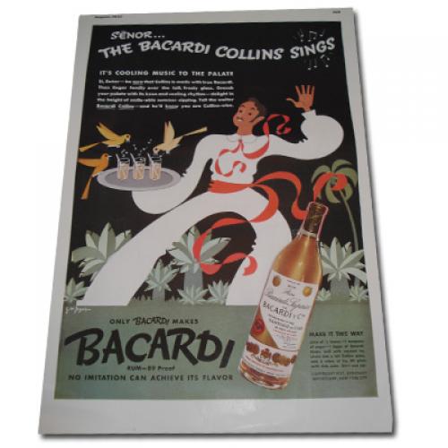 Bacardi Set (215) ONE ONLY Bacardi Set (215) ONE ONLY