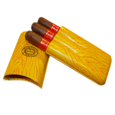 Partagas Serie D No 4 Leather Gift Case