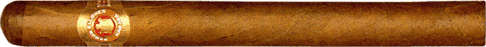 Ramon Allones 898 Varnished - 1s