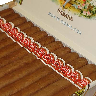 Buy Cigars Romeo Y Julieta Petit Princess