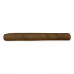 Dutch Blend Senoritas Cigar - 1 Single