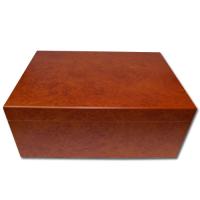 Colton Burl Humidor - 50 Cigar Capacity