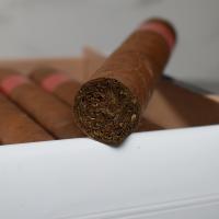Partagas Serie E No. 2 Cigar - 1 Single