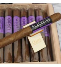 Blackbird Unkind Corona Cigar - 1 Single