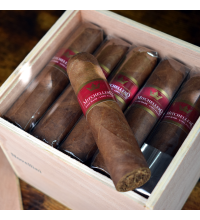 20 + 1 Mitchellero Novellini Sampler - 21 Cigars