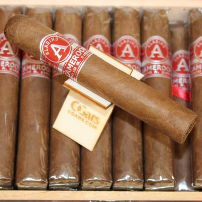 Aladino Cameroon Robusto Cigar - 1 Single