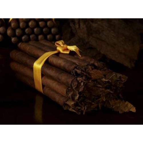 10 Custom blend Havana cigars by Rodolfo Beltran