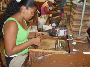 Cigar Roller in Cuba - 15th Habano Cigar Festival