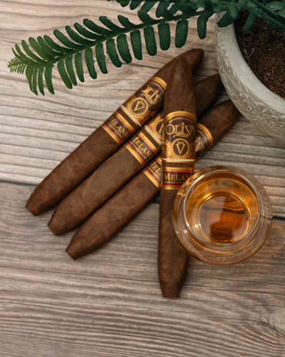 Oliva Product