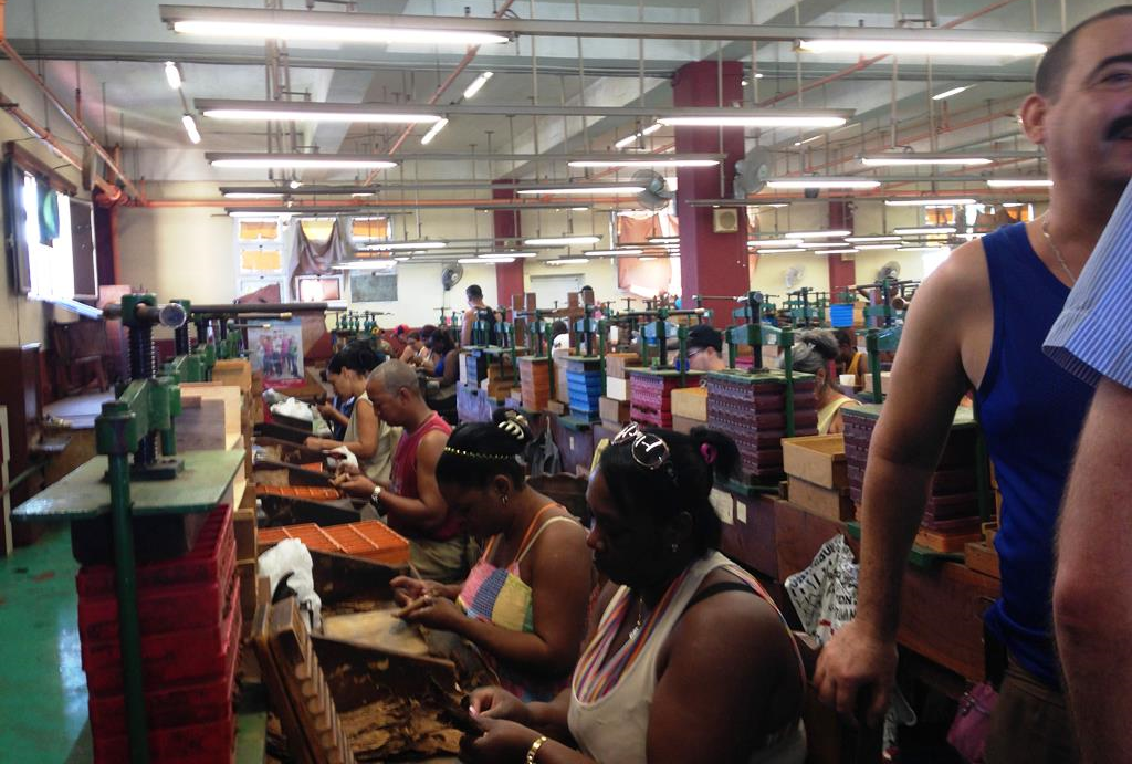 Cigar rollers Factory