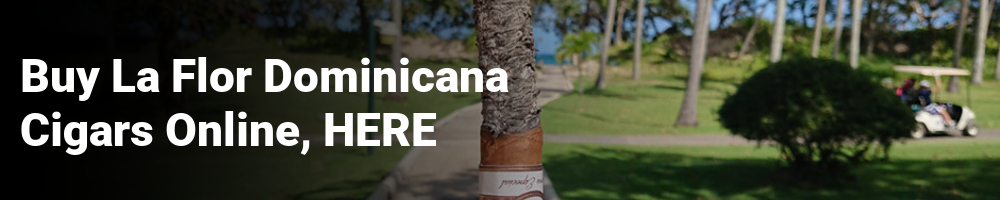 Buy La Flor Dominicana Cigars Online in the UK