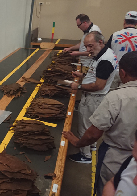 Choosing Tobaccos for Custom Blend Cigars