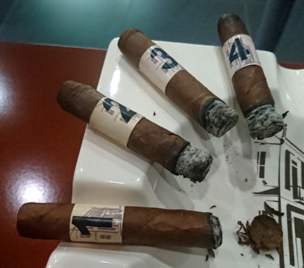 Puros Cigar Taste Training