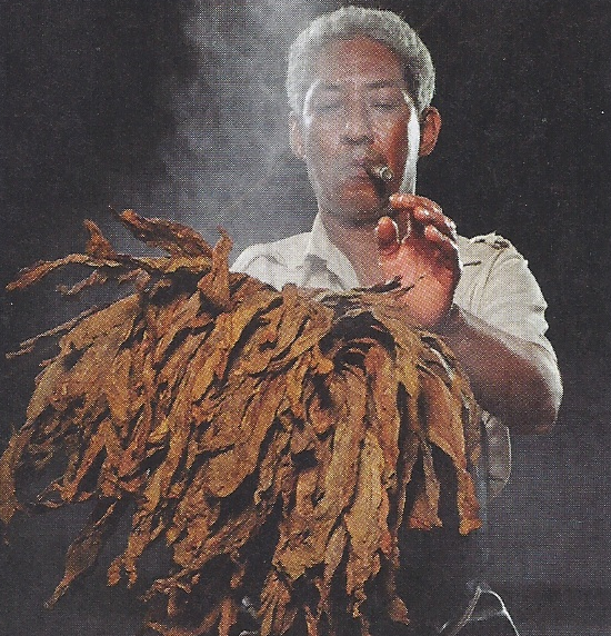 Auctioneer at the C.Gars Ltd Aged & Rare Cigar Auction