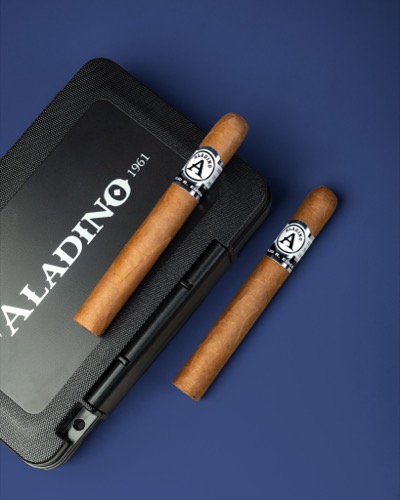 Aladino Connecticut