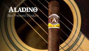 Aladino Maduro