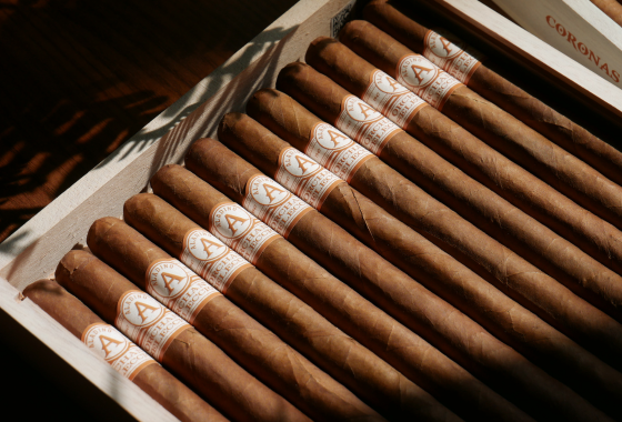 Aladino Orchant Seleccion