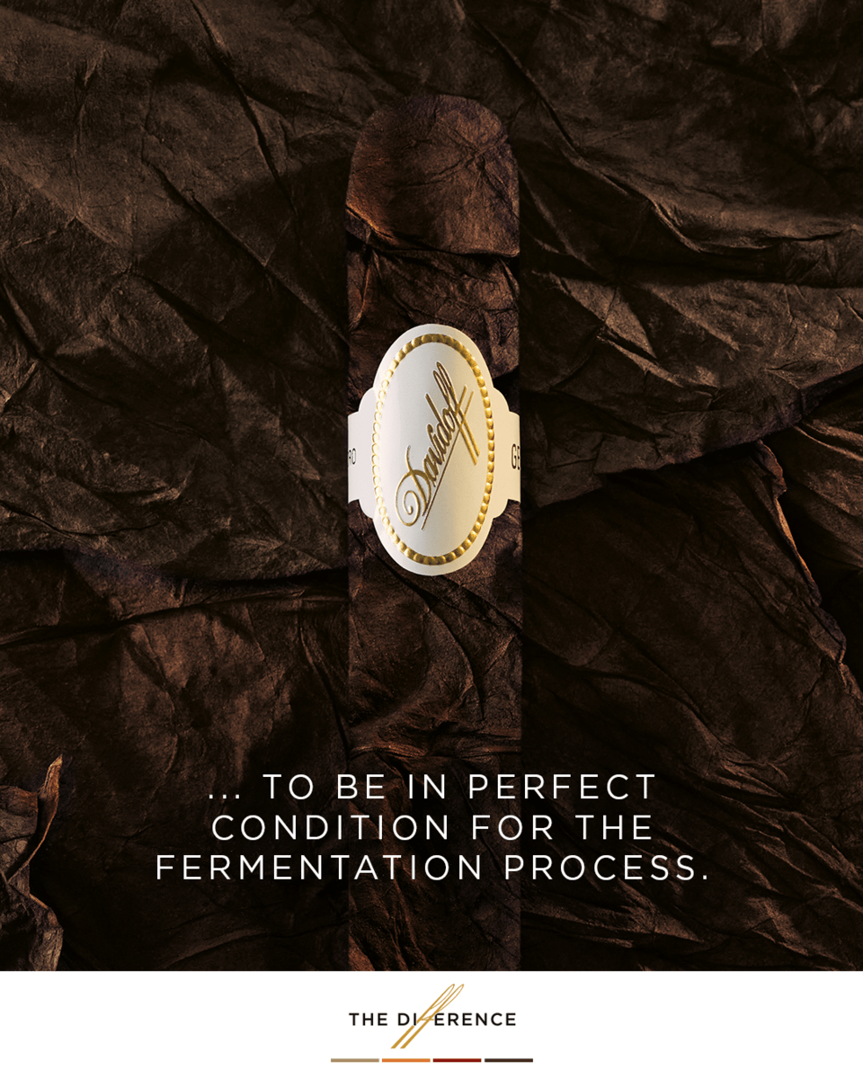 Davidoff Slider 2