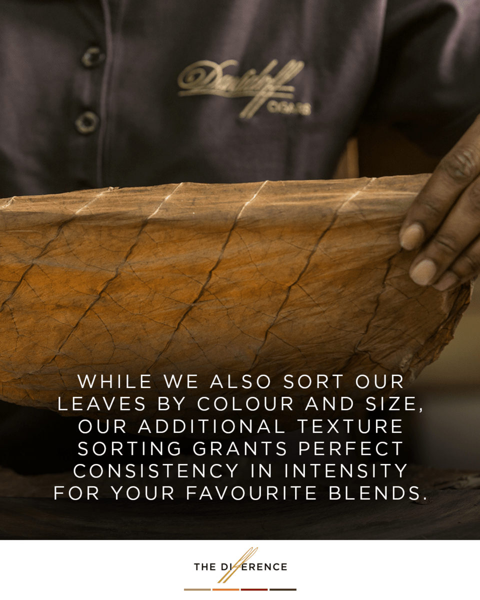 Davidoff Slider 4