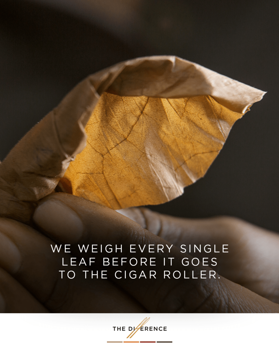 Davidoff Slider 7