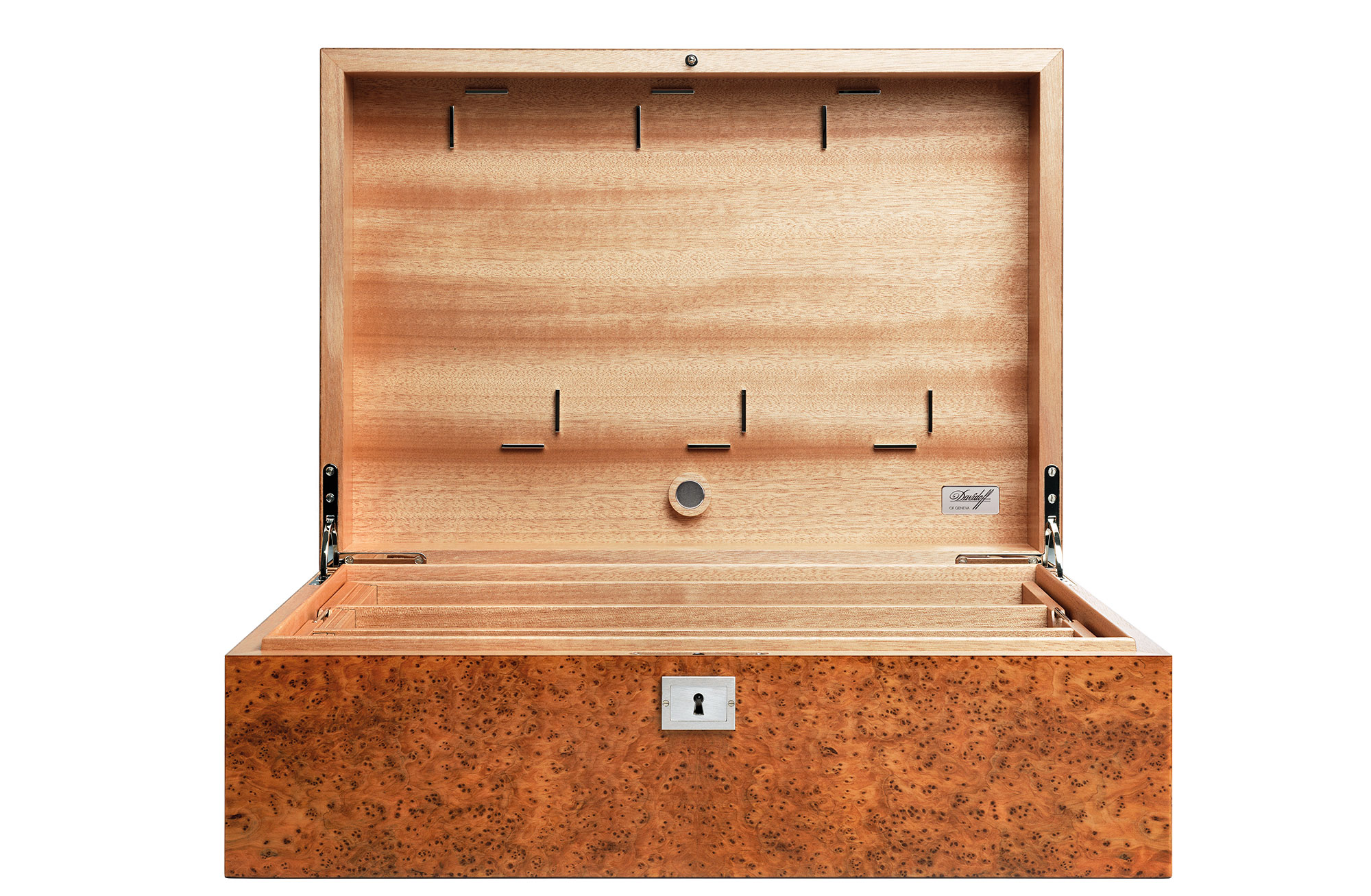 Davidoff Giant Humidor Thuya Brilliant