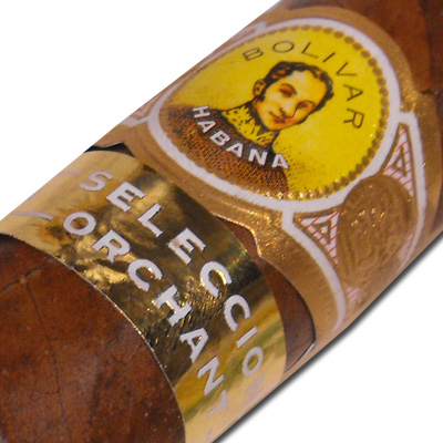 Bolivar Belicosos Finos Orchant Seleccion Cigar