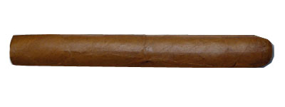 C.Gars Ltd Dutch Blend Corona - 1 Single