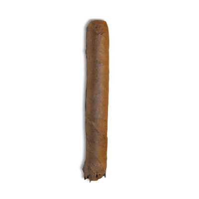 C.Gars Ltd Dutch Blend Wilde Senoritas - 1 Single