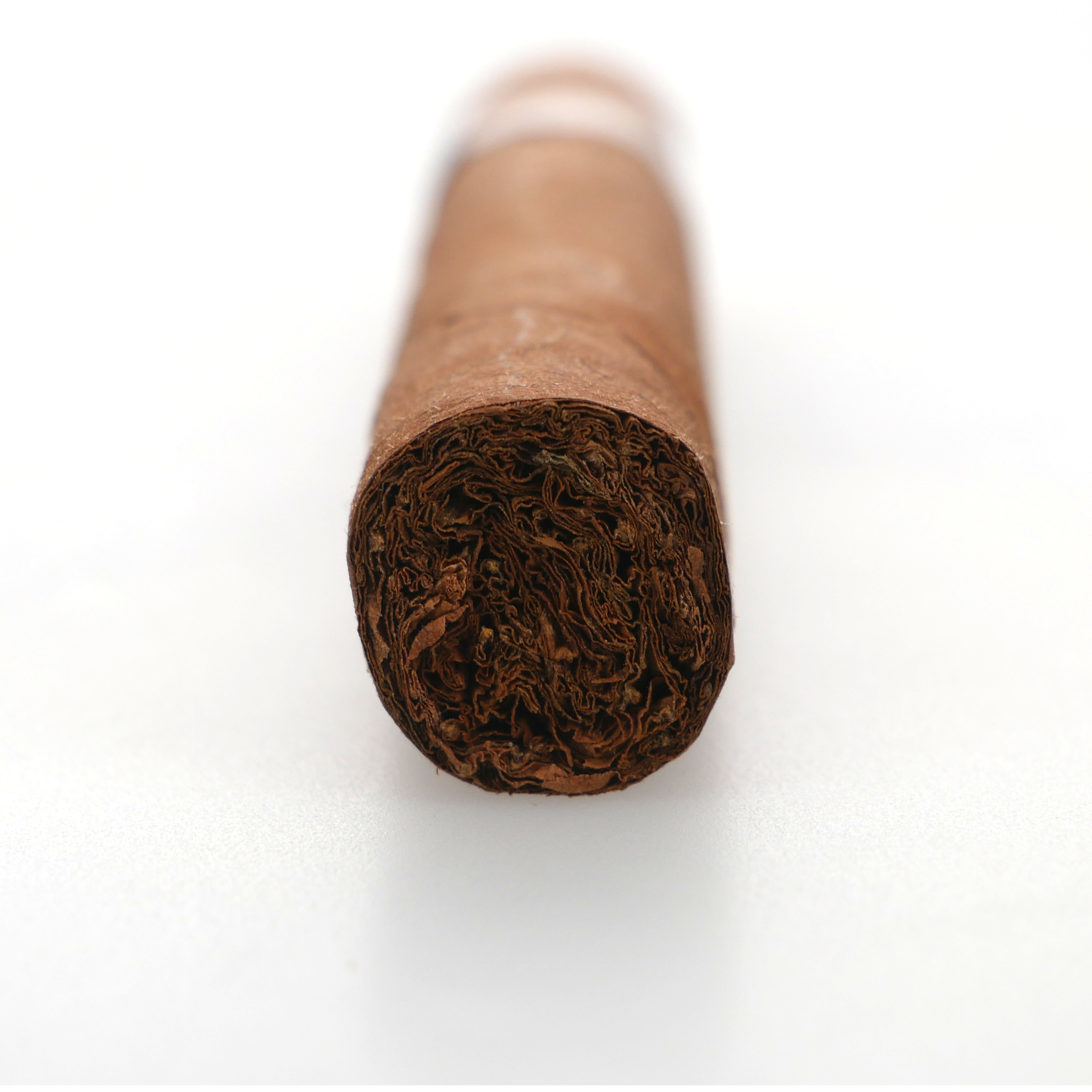dentobac tobacco Tobacco Products