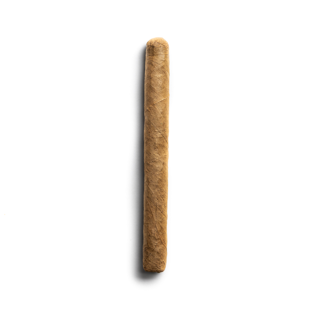 Cusano Dominican Selection Petit Panatela Cigar - 1 Single (Discontinued)