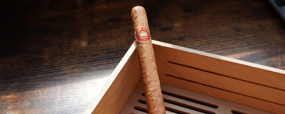 H. Upmann Majestic