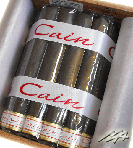 Cain Maduro Roubsto 550 Cigars - 24s