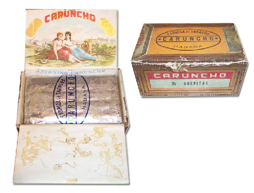 Caruncho Brevitas - 25s - part of the Ming Collection