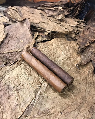 Anthonys trip to the Dominican Republic