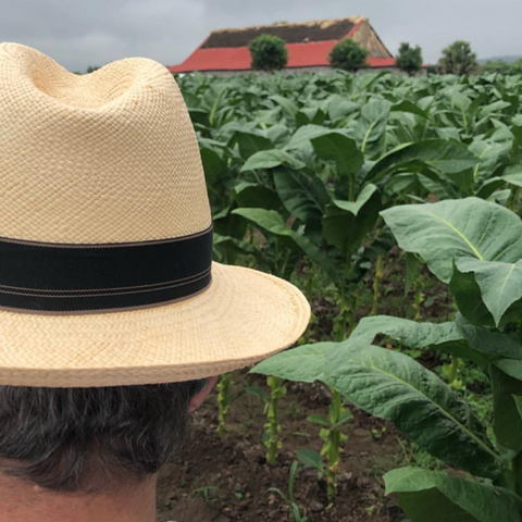 Anthonys trip to the Dominican Republic