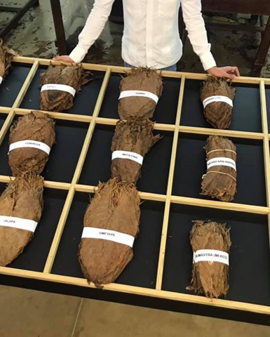 Anthonys trip to the Dominican Republic