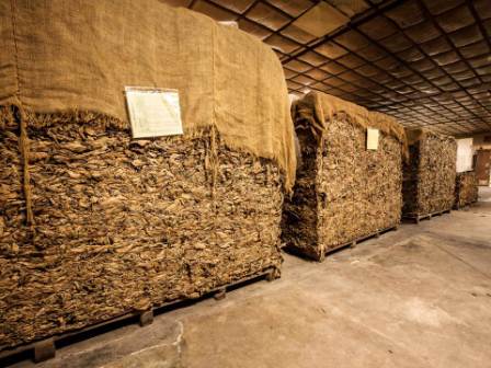 Inka Secret Blend Cigars