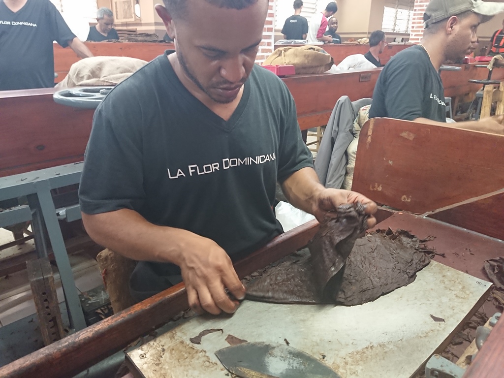 James\'s Trip to the Dominican Republic