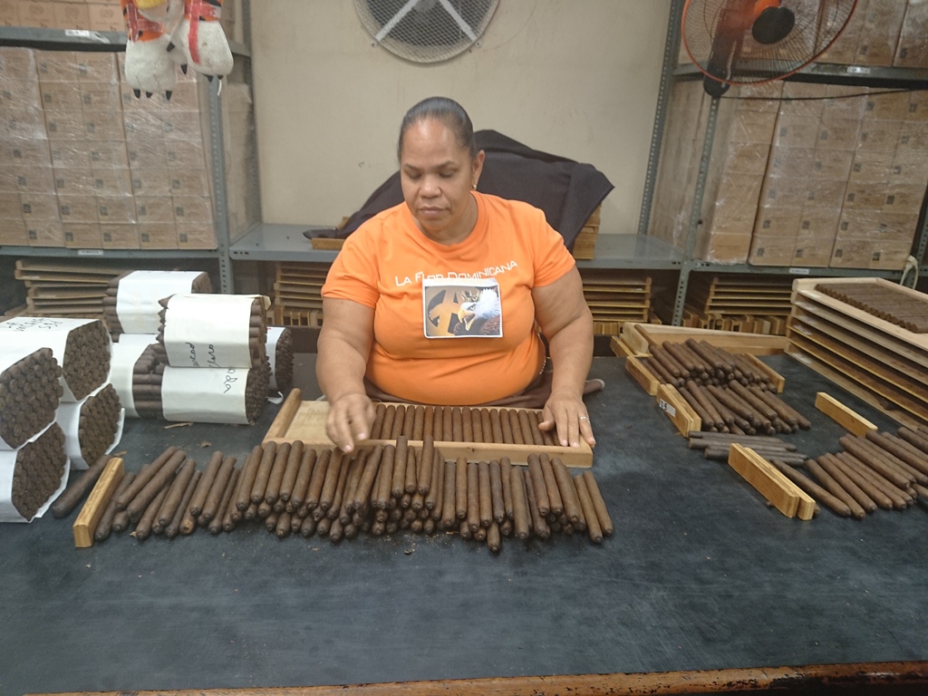 James\'s Trip to the Dominican Republic