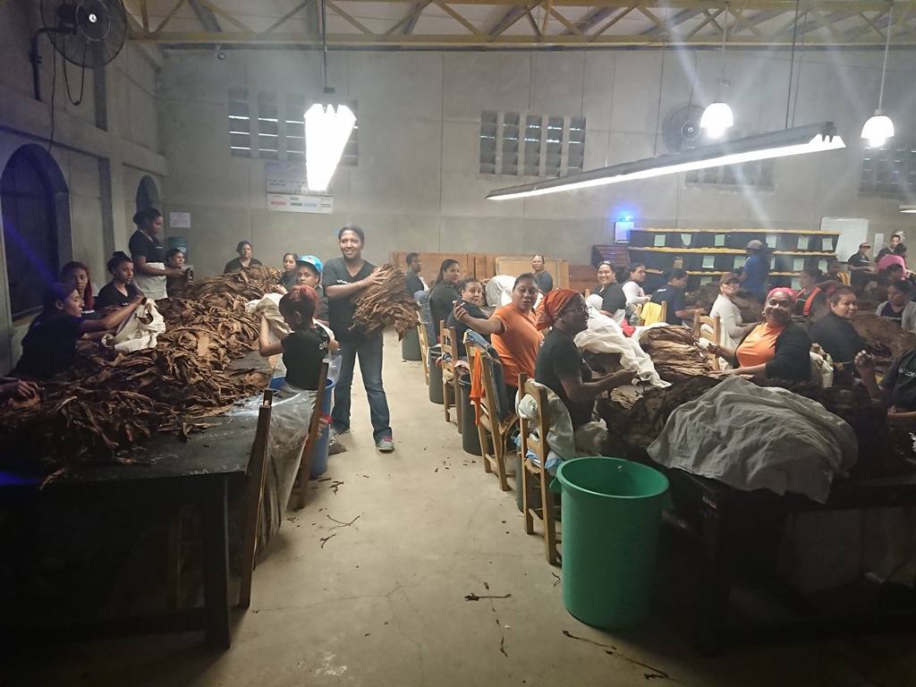 James\'s Trip to the Dominican Republic
