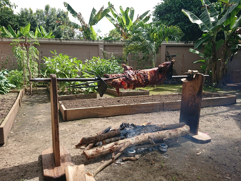 James\'s Trip to the Dominican Republic