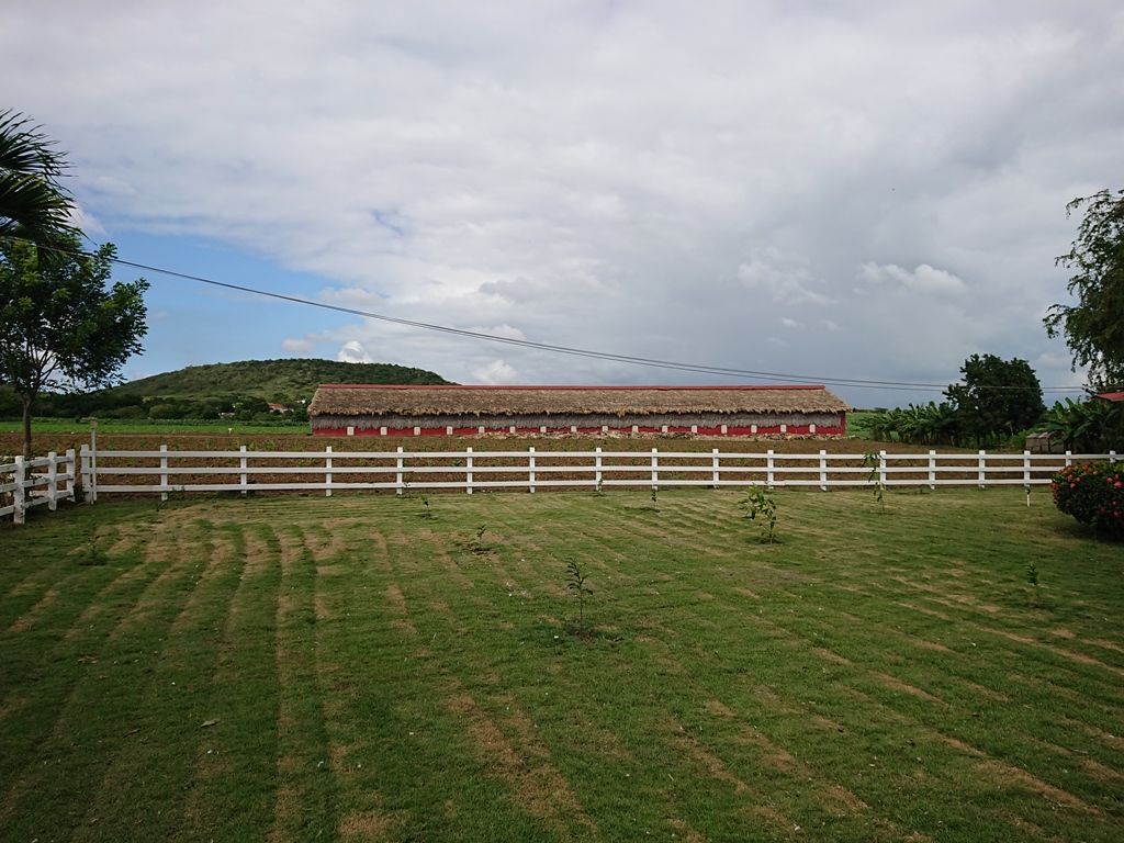 James\'s Trip to the Dominican Republic