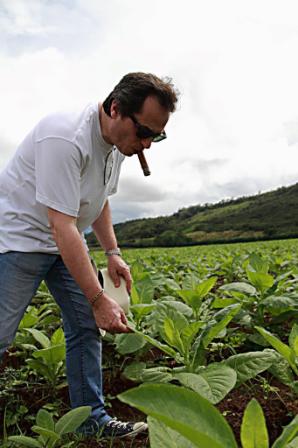 Inka Secret Blend Cigars