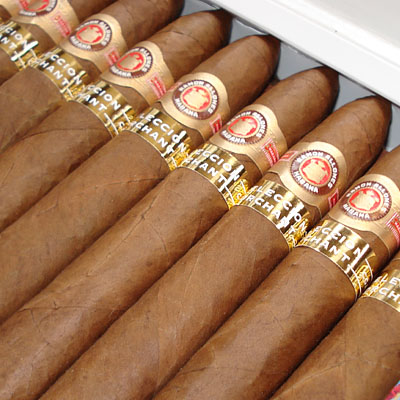 Orchant Seleccion Cigars