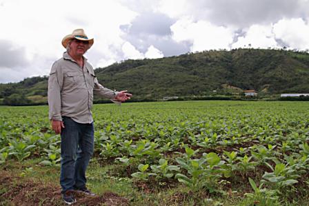 Inka Secret Blend Cigars