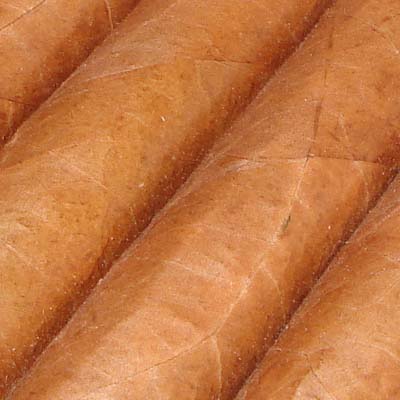 Montecristo Double Corona - box of 25