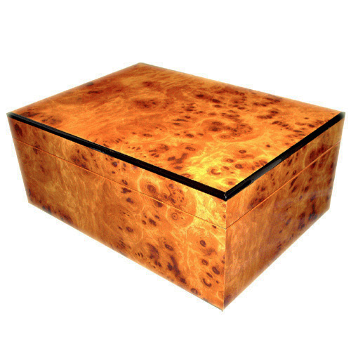 Ligera Executive Cigar Humidor - Up to 60 cigar capacity