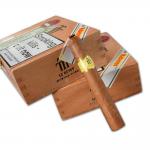 Trinidad Reyes Cigar - 2 x Cabinet of 12 (24) Bundle Deal